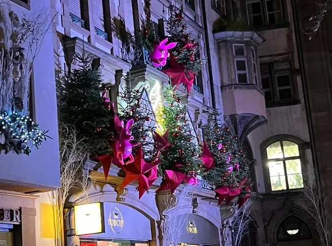 Bel Centre Daire Strazburg
